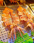 Grilled Squid