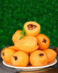 loquat